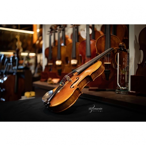 Piccolo Maestro violin-8.jpeg