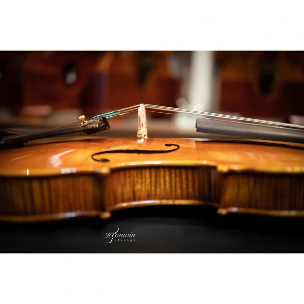 Piccolo Maestro violin-6.jpeg