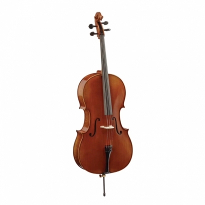 Heinrich Gill Cello W3-2.jpeg