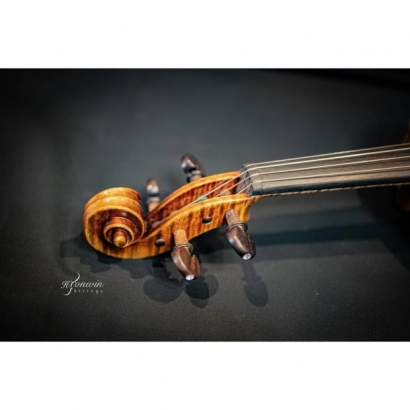 Piccolo Maestro violin-5.jpeg
