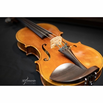 Piccolo Maestro violin-4.jpeg