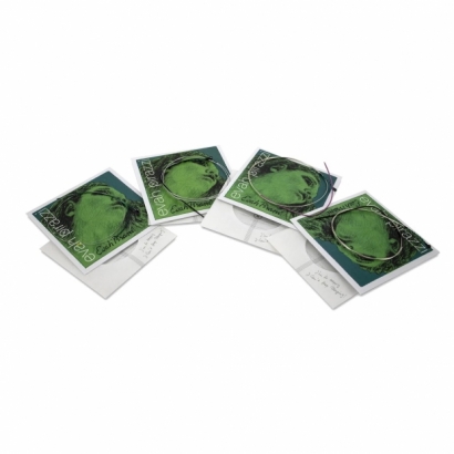 Evah Pirazzi 綠-2.jpeg