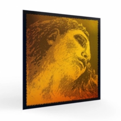 Evah Pirazzi Gold-1.jpeg