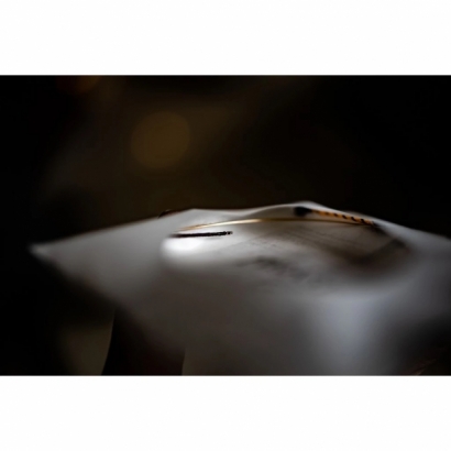 Evah Pirazzi Gold -4.jpeg