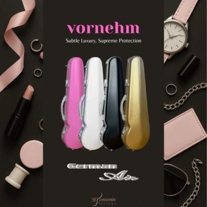 single color violin case.jpeg